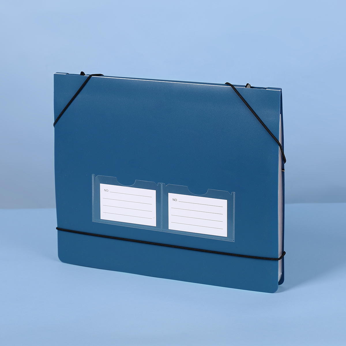 Hanging Accordion File Folder  - Expandable Accordion File Folder 13 Pockets review and price